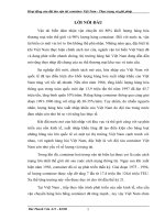 Thực trạng của đội tàu container Việt Nam và giải pháp