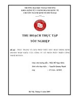 Hoạt động nhập khẩu hàng hoá phục vụ cho sản xuất kinh doanh tại Công ty cổ phần hỗ trợ phát triển công nghệ Detech.doc