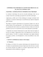 Luận văn tiếng pháp Commerce électronique et gestion des riques le cas du vietnam introduction.doc