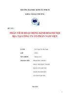 Phân tích hoạt động kinh doanh nội địa tại công ty cổ phần nam việt.doc