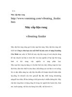 Máy cấp liệu rung - vibrating feeder