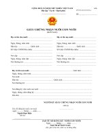 Giấy chứng nhận nuôi con nuôi (Bản sao)
