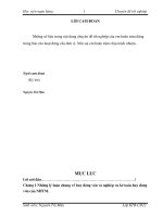 Hoàn thiện công tác kế toán huy động vốn tại ngân hàng NHNo&PTNT (AgriBank) huyện Lục Ngạn.DOC