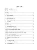 Xác định các nhân tố tác động đến cấu trúc vốn của các doanh nghiệp Việt Nam.pdf