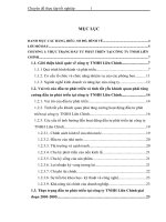 Tình hình đầu tư phát triển tại Công ty TNHH Liên Chính. Thực trạng và giải pháp