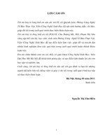 Nghiên cứu quy trình chuyển gen vào giống thuốc lá C9-1 nhằm tạo cây thuốc lá chuyển gen kháng bệnh khảm lá