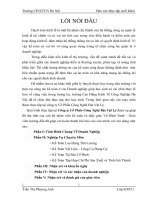 Báo cáo thực tập tại công ty Cổ Phần Công Nghệ Địa Vật Lý.docx