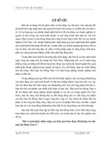 Một số giải pháp nhằm nâng cao hiệu quả hoạt động Marketing tại nhà máy bia Đông Nam á