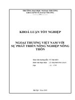 Ngoại thương việt nam với sự phát triển nông nghiệp nông thôn.doc