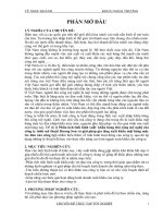 Phân tích tình hình xuất khẩu hàng thủ công mỹ nghệ của công ty tnhh mỹ thuật Dương Sơn và giải pháp gia tăng xuất khẩu mặt hàng mây tre đan của công ty (năm 2010).doc