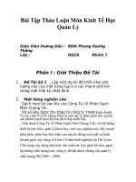 Lập một dự án để triển khai ước lượng cầu của mặt hàng Gạch ở các thành phố lớn trong một thời kỳ nhất định