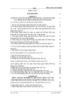 một số giải pháp nhằm hoàn thiện nghiệp vụ kế toán cho vay tại Ngân hàng Nông nghiệp và phát triển nông thôn tỉnh Lào cai.DOC