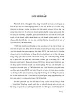 Hoàn thiện hạch toán tài sản cố định hữu hình tại Công ty XNK Tổng hợp ngành muối.DOC