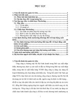 Chương trình marketing hỗn hợp đối với hoạt động xuất khẩu Tổng công ty thương mại Hà Nội