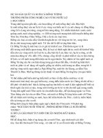 Dự án nuôi cá bống tượng