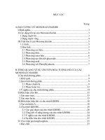 Khả năng chuyển hóa tương hỗ giữa các monosaccharide 