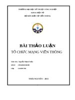 Bài thảo luận tổ chức mạng viễn thông