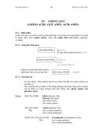 Giáo khoa hóa hữu cơ: Amino axit