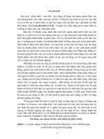 Hoàn thiện kế toán tiêu thụ hàng hoá và xác định kết quả kinh doanh tại Công ty Thương mại và Dịch vụ TRASERCO.DOC