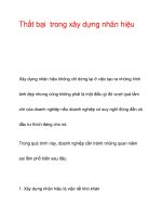 Thất bại trong xây dựng nhãn hiệu  