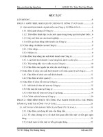 Báo cáo thực tập - Tình hình thực tế công tác hạch toán của các thành phần cụ thể tại công ty cổ phần GALI.doc