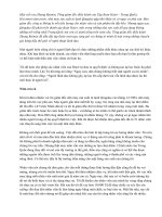 Bài viết của Zhang Ruimin 