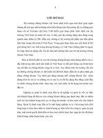 Lập và quản lý danh mục đầu tư chứng khoán trên thị trường chứng khoán Việt Nam