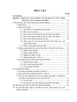 Công tác quản lý CPSX kinh doanh & hạ giá thành sản phẩm tại công ty Gốm xây dựng Hữu Hưng.doc