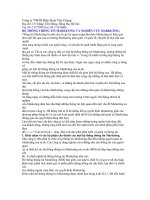 Hệ thống thông tin maketting và nghiên cứu maketting