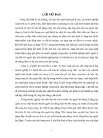 Hạch toán tiền lương và các khoản trích lương tại công ty lâm sản Bắc Á.docx