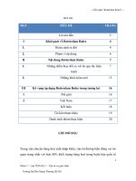 tIỂU LUẬN NGOẠI THƯƠNG Công ước Rotterdam - Công ước Liên hiệp quốc về hợp đồng vận chuyển hàng hóa quốc tế một phần hoặc toàn bộ bằng đường biển.doc