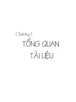 Một số đặc điểm sinh hóa và giá trị dinh dưỡng của trùn biển 3