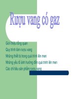 Công nghệ sản xuất rượu có gas   7