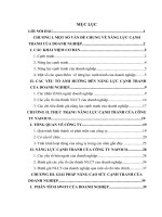 Năng lực cạnh tranh của công ty cổ phần Lâm sản Nam Định.doc