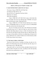 Thực trạng công tác kế toán tại công ty tnhh tm và dịch vụ nhất vĩnh.doc