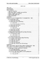 MỘT SỐ GIẢI PHÁP ĐẨY MẠNH HOẠT ĐỘNG MARKETING-MIX TẠI CÔNG TY CỔ PHẦN GẠCH ỐP LÁT THÁI BÌNH.doc