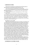 Nội dung và vai trò của fdi.doc