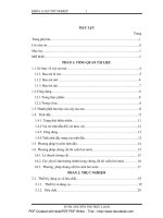 Ly trích tinh dầu của cây rau má hydrocotyle asiatica