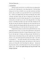Những tác động của hoạt động thương mại đối với nền kinh tế thị trường ở Việt Nam.pdf