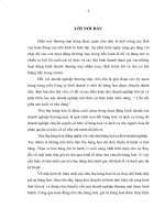 Hoàn thiện kế toán tiêu thụ hàng hoá và kết quả tiêu thụ hàng hoá ở Công ty trách nhiệm hữu hạn Đông Tây.docx