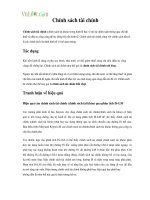 Chính sách tài chính.pdf