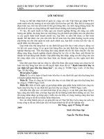 Hạch toán tiêu thụ và xác định kết quả tiêu thụ hàng hoá tại công ty TNHH Ngọc Linh- 23 Hà Huy Tập- TP Đà Nẵng.doc