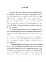 thị trường kinh doanh của công ty XNK du lịch và tư vấn đầu tư Hồ Gươm