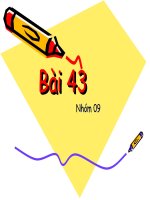 Hình học xạ ảnh 43