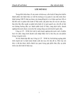 Một số ý kiến nhằm hoàn thiện công tác kế toán bán hàng và xác định kết quả bán hàng ở công ty CP - xuất nhập khẩu Hà Anh.docx