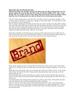  Nhập nhèm góp vốn bằng thương hiệu 