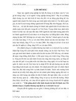 Giải pháp phát triển kinh doanh du lịch lữ hành của Chi nhánh công ty cổ phần thương mại dịch vụ và du lịch Cao su.DOC