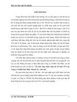 Tổ chức thực hiện công tác kế toán NVL tại Công ty TNHH Tân Phát- Thanh Trì - Hà Nội.docx