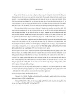 Hoàn thiện nghiệp vụ kênh phân phối sản phẩm dịch vụ phần mềm tin học của Công ty FPT.doc