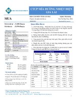 Báo cáo phân tích công ty cổ phần mía đường nhiệt điện gia lai